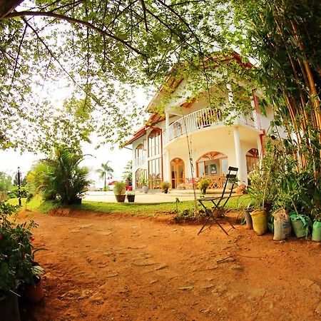 Summit View Bed and Breakfast Kandy Zewnętrze zdjęcie