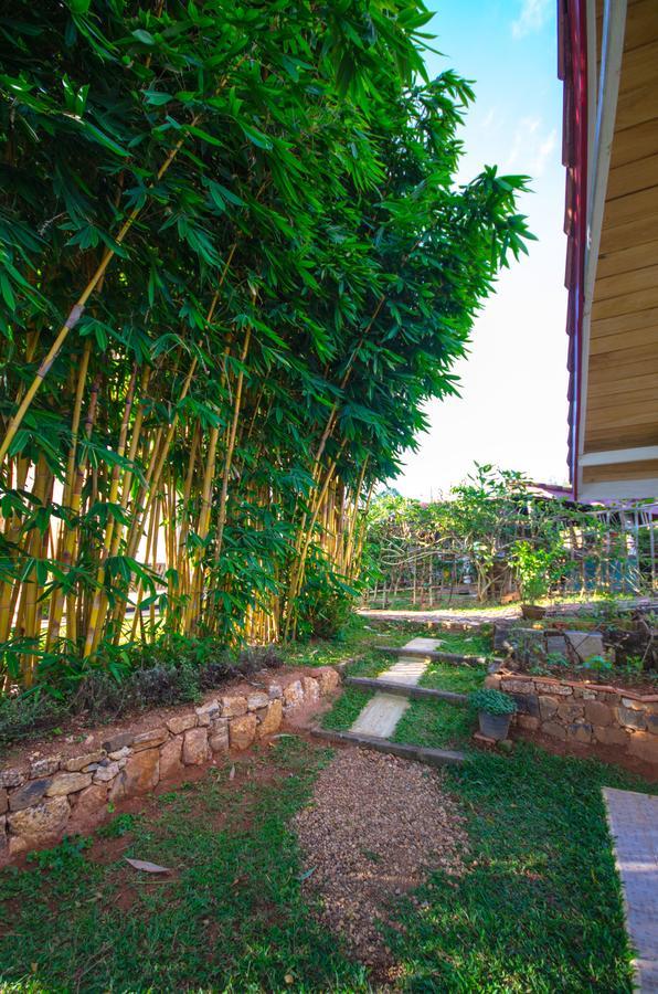 Summit View Bed and Breakfast Kandy Zewnętrze zdjęcie