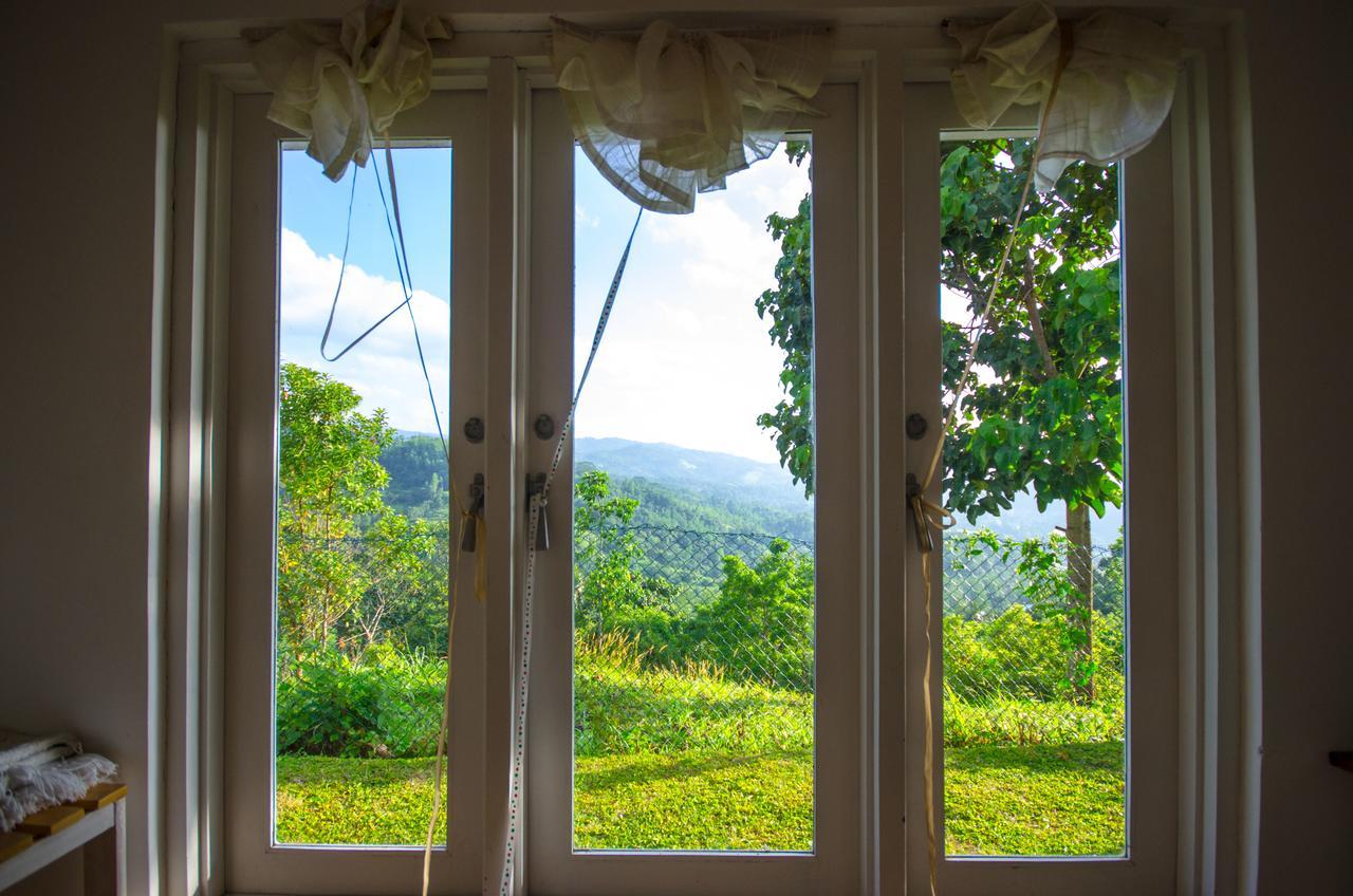 Summit View Bed and Breakfast Kandy Zewnętrze zdjęcie