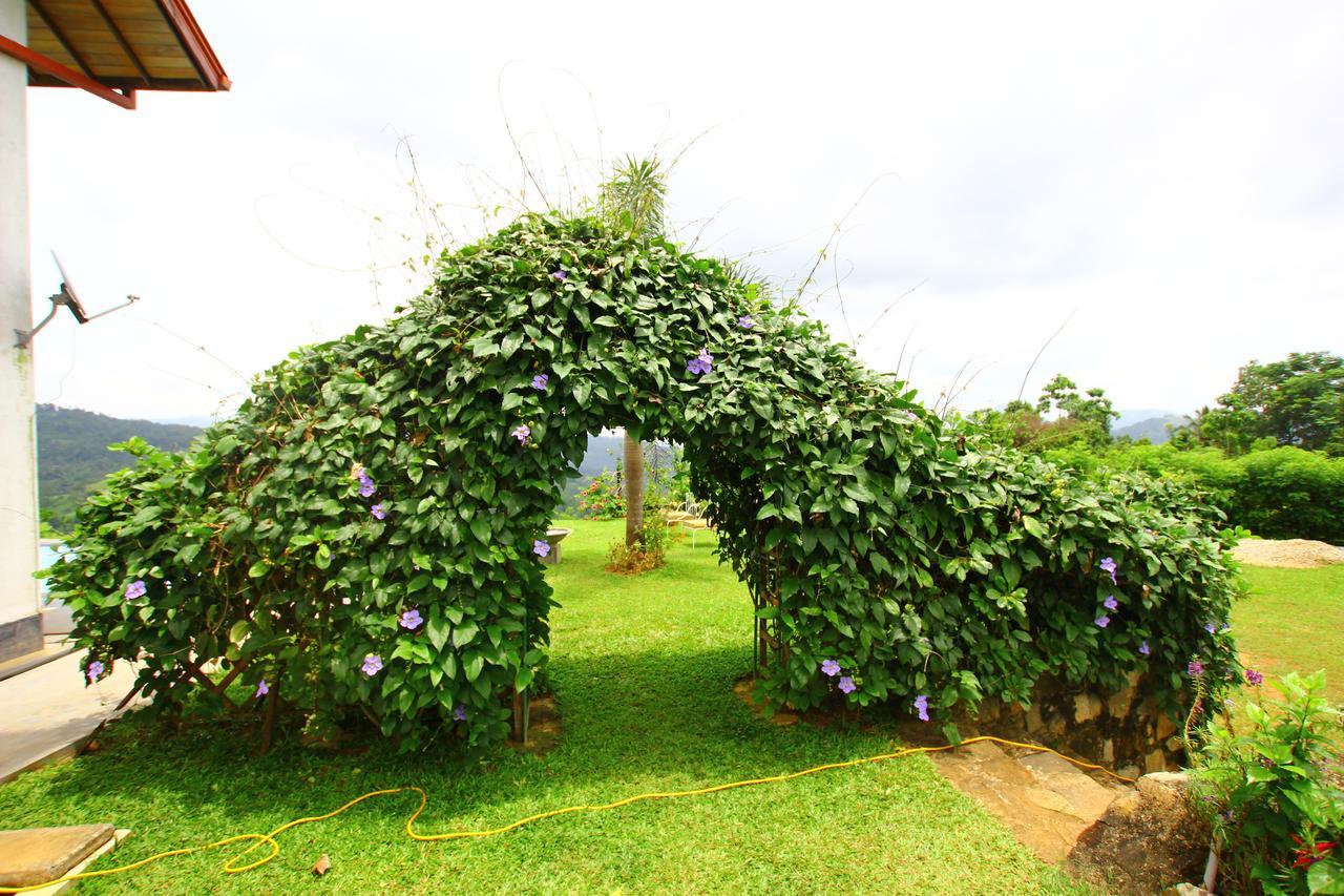 Summit View Bed and Breakfast Kandy Zewnętrze zdjęcie