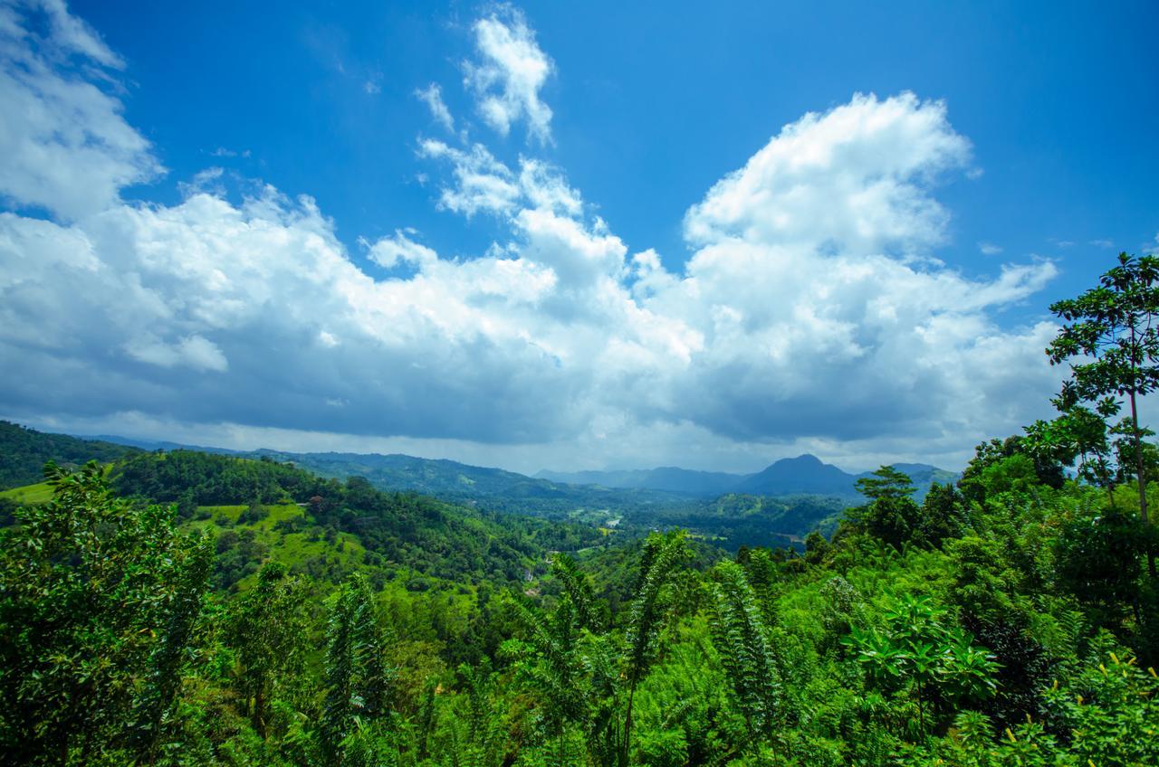 Summit View Bed and Breakfast Kandy Zewnętrze zdjęcie