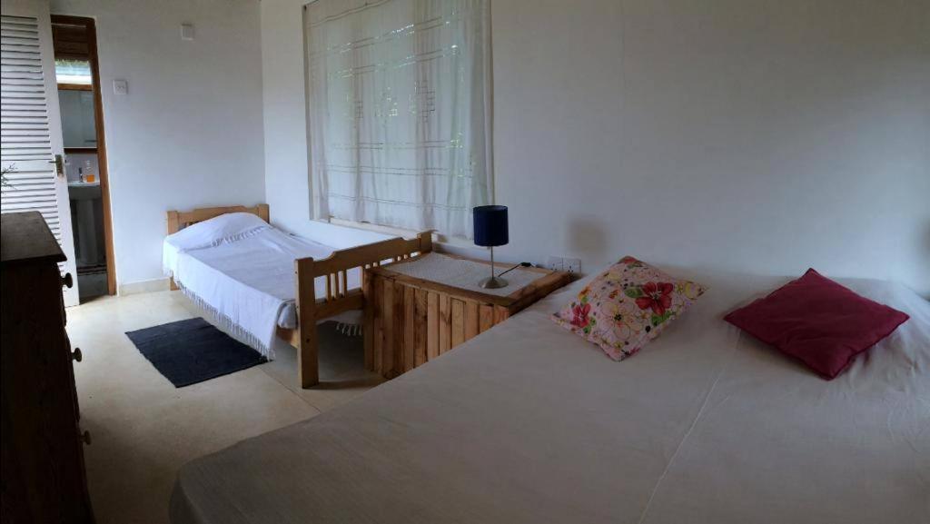 Summit View Bed and Breakfast Kandy Zewnętrze zdjęcie